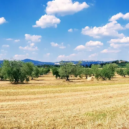 La Porcareccia Agroturismo Roccastrada