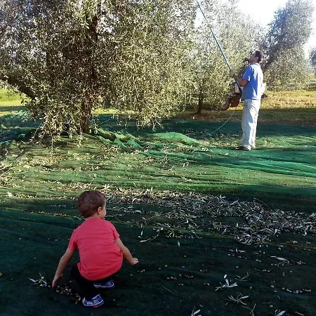 Agroturismo La Porcareccia Roccastrada